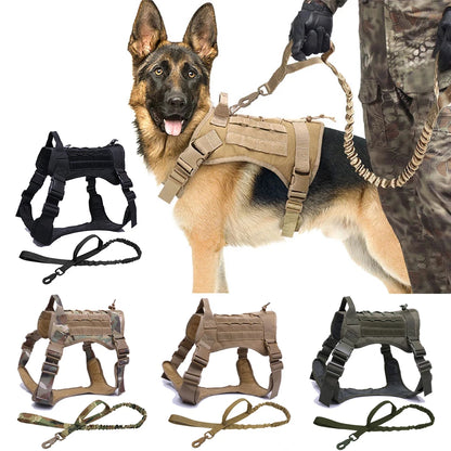 Tactical Military Training Dog Set