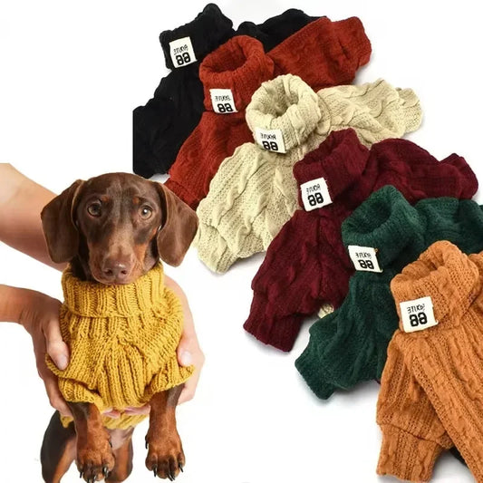 Teddy Bear Turtleneck Dog Sweater