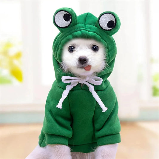 Googly Eye Pet Hoodie